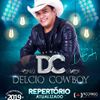 Foto de: DELCIO COWBOY ATUALIZADO