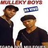 Foto de: Forró Mulleky Boys