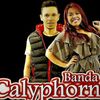 Foto de: Banda Calyphornia Oficial