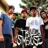 Foto de: The True Simbiose