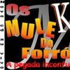 Foto de: Os muleks do forro