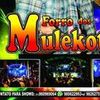 Foto de: forro dos mulekoty