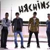 Foto de: Urchins