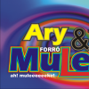 ARY & FORRÓ MULEKE
