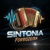 Foto de: Banda Sintonia Forrozeira Mcz