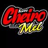 Foto de: Forro Cheiro de Mel Oficial