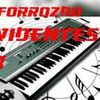 Foto de: Forrozao Evidentes vol 9