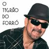 Foto de: O TIGRÃO DO FORRÓ