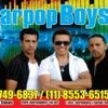 Foto de: DAARPOPboys