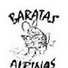 Foto de: Baratas Albinas