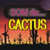 Foto de: Som de Cactus