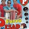 Foto de: Forro Pesado