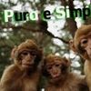 Foto de: Puro & Simples