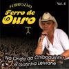 Foto de: forrro ferro de ouro