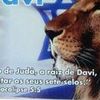Foto de: wecseley