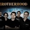 Foto de: Brotherhood