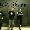 Foto de: black sheeps