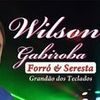 Foto de: Wilson Gabiroba