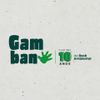Foto de: Gambano e os Aventureiros Ambientais