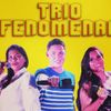 Foto de: Forrozão Trio Fenomenal