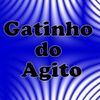 Foto de: Gatinho do Agito