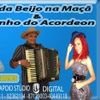 Foto de: Banda Beijo na Maçã e Zezinho do Acordeon