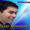 Foto de: Elias Sanguiné