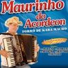 Foto de: Maurinho do Acordeon