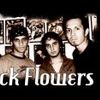 Foto de: Black Flowers