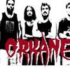 Foto de: Orkane