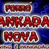 Foto de: FORRÓ PANKADA NOVA