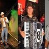 Foto de: Forro Chinela de Couro