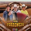 Foto de: Banda TRIO FORRONEJO
