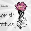 Foto de: Flor d' Lottus