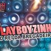 Foto de: Playboyzinho O Rei da Bregadeira