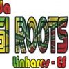 Foto de: REGI ROOTS