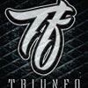 Foto de: Triunfo