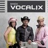 Foto de: banda vocalix vol.3