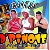 Foto de: BANDA D'PINOTE A PEGADA CERTA