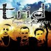 Foto de: banda trid