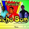 Foto de: FORROZÃO BICHO BOM