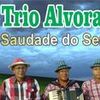 Foto de: Trio Alvorada