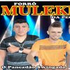 Foto de: FORRO MULEKES DA PEGADA VOL 02 2017