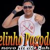 Foto de: Nelinho Pagodão  O Novo Hit da Bahia