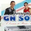 Foto de: Forrozão Gn Som