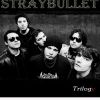 Straybullet