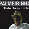 Foto de: Palmeirinha