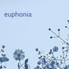 Foto de: euphonia