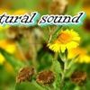 Foto de: natural sound