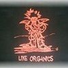 Foto de: Like Organics